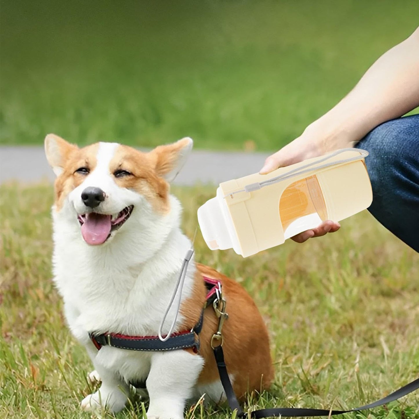 2 In 1 Travel Dog Water Bottle Pet By Pupets