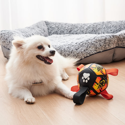 Toy For Dogs